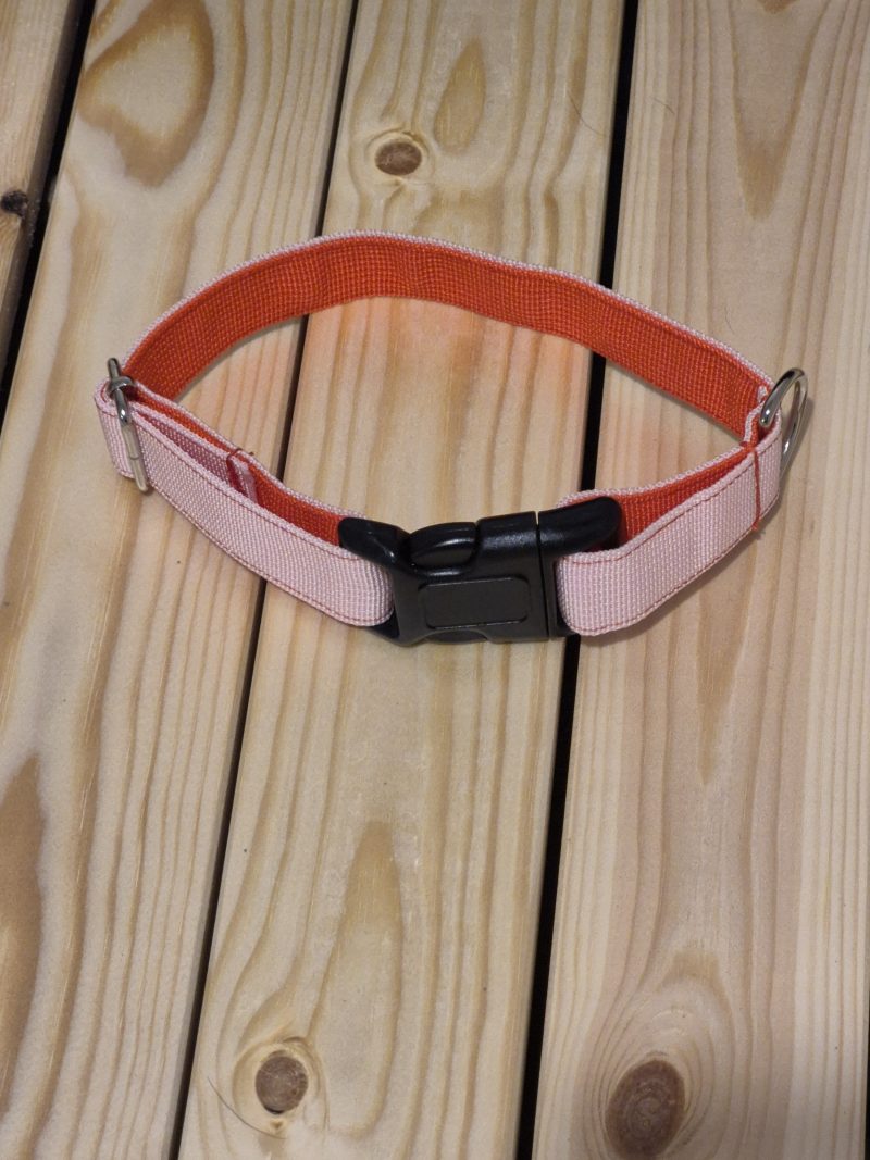 Two Tone Webbing Dog Collar | 3 Colours | 3 Sizes
