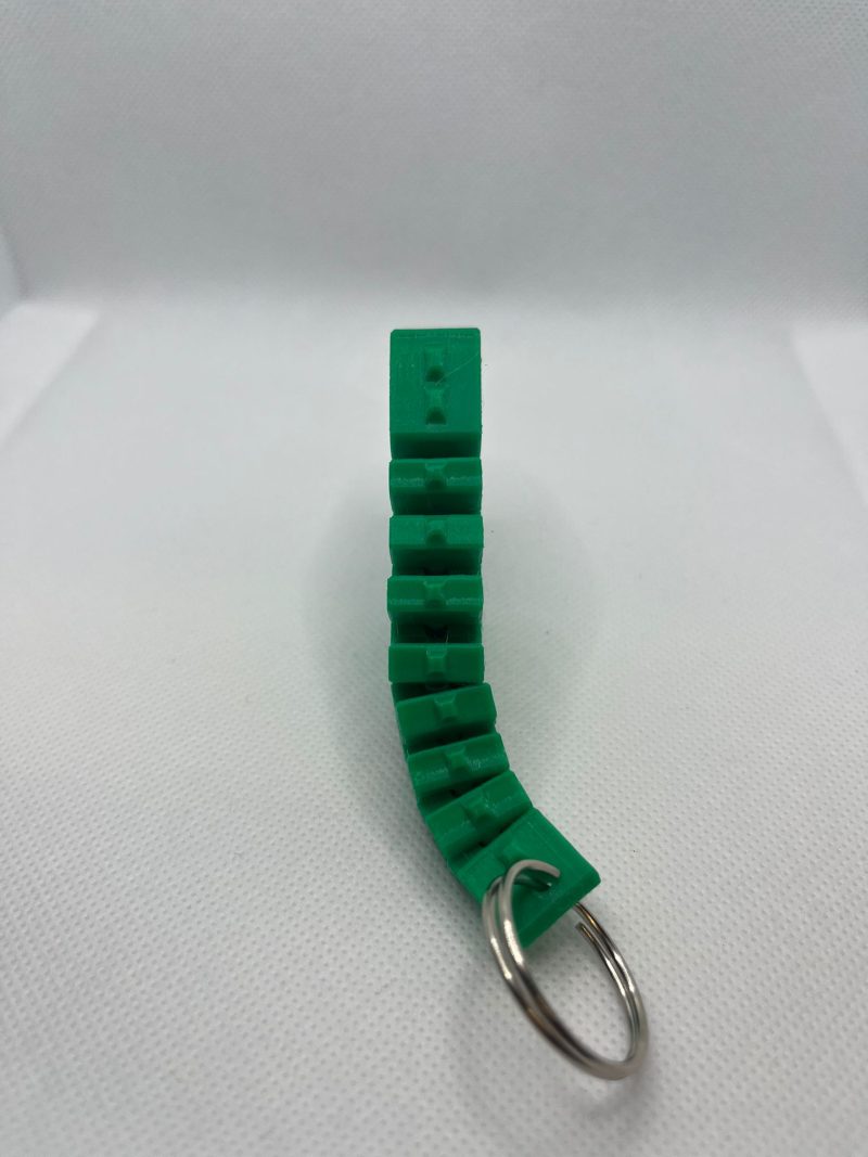 Flexi Rex Keyring – A Roaringly Fun Accessory with a Twist!