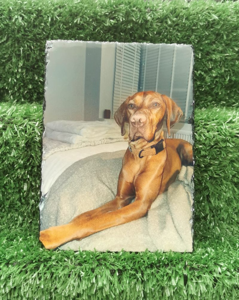 Coloured Photo Slates, Rectangular, Personalised, Keepsake, Gift