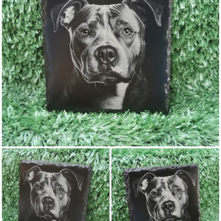 Staffordshire Bull Terrier Slate Coaster, Staffy, Square, 100mm