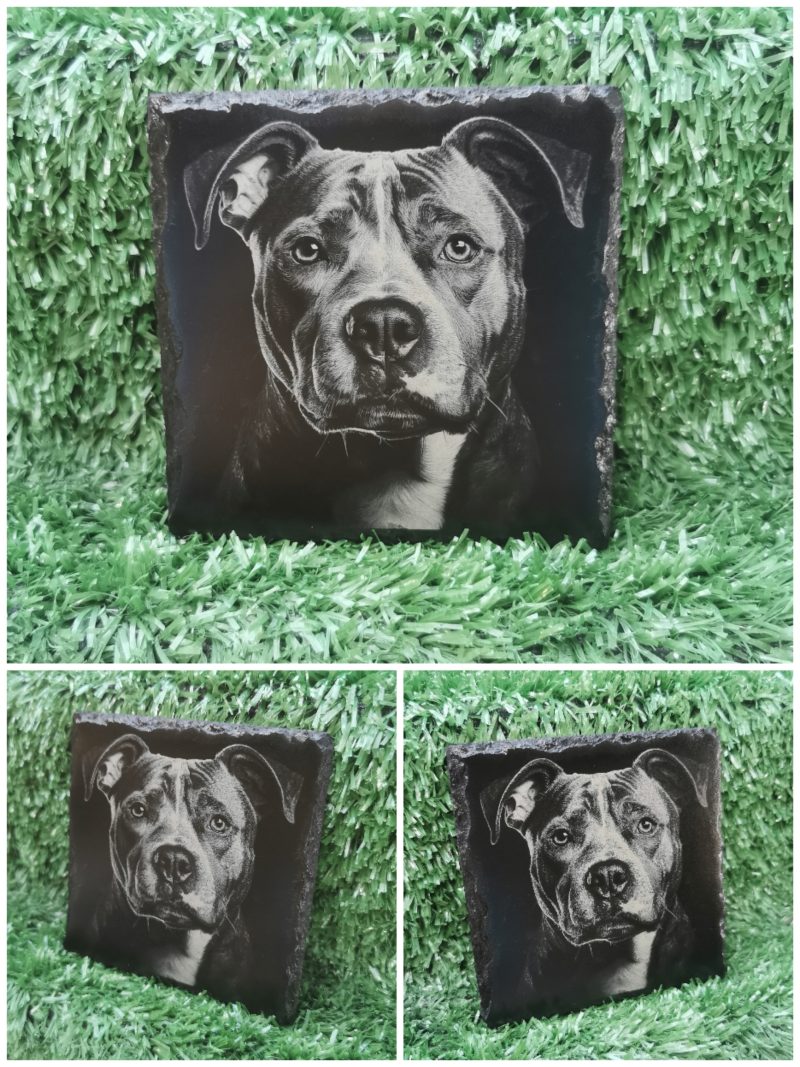 Staffordshire Bull Terrier Slate Coaster, Staffy, Square, 100mm