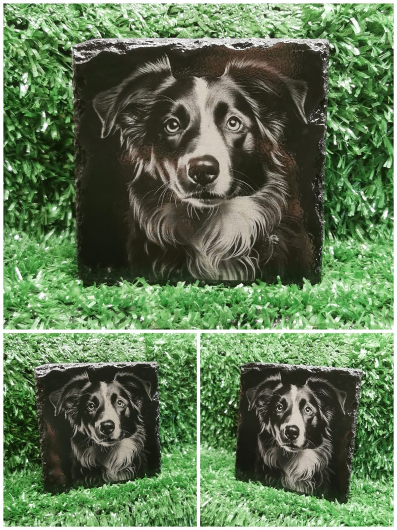 Border Collie Slate Coaster, Collie Dog, Square 100mm