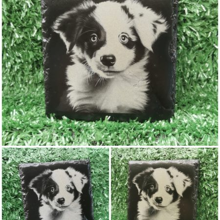 Border Collie Puppy Slate Coaster, Square 100mm