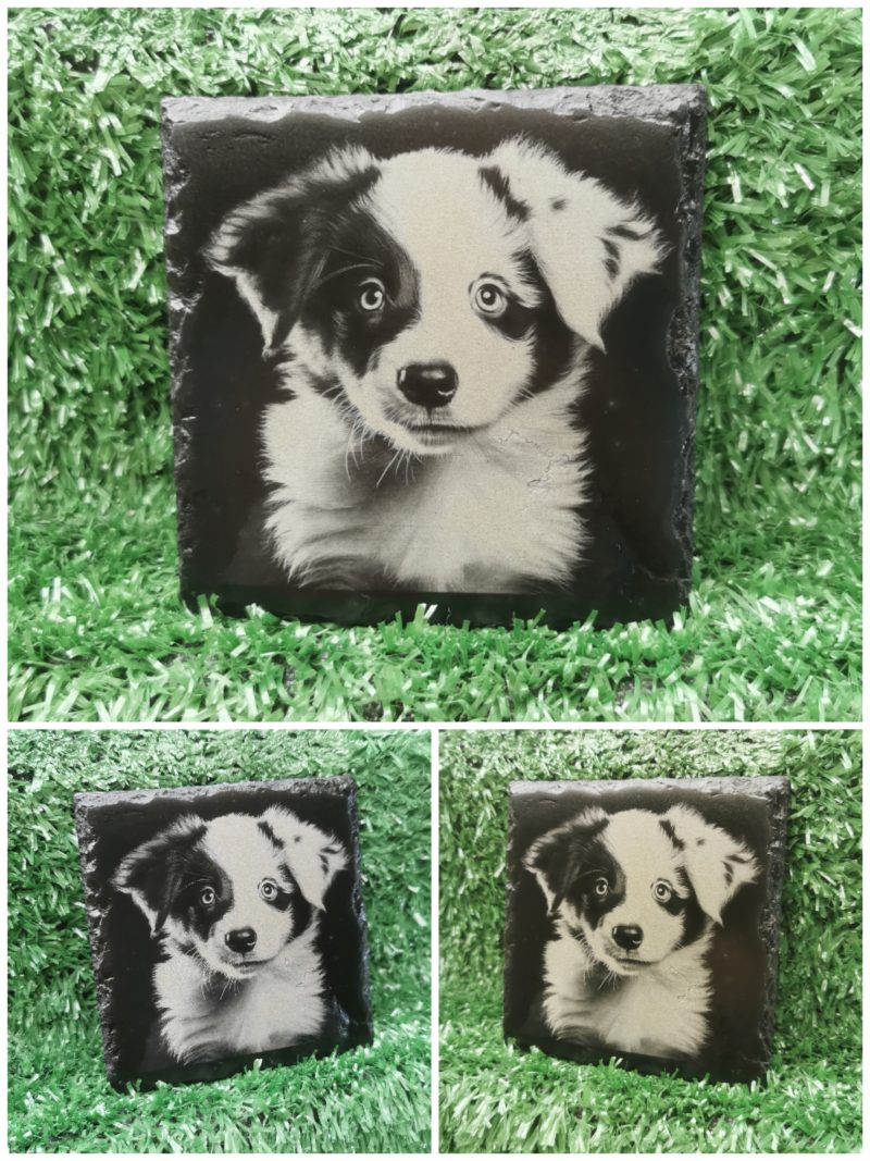 Border Collie Puppy Slate Coaster, Square 100mm