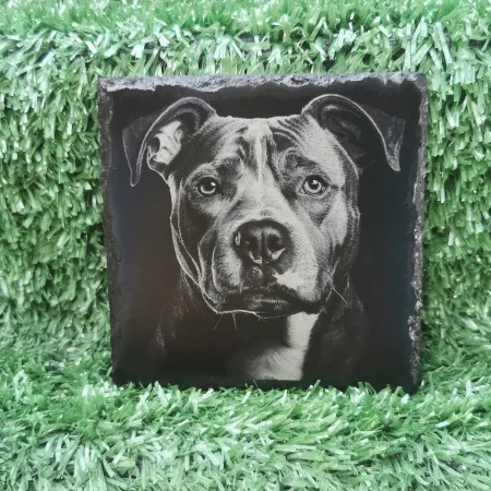 Staffordshire Bull Terrier Slate Coaster, Staffy, Square, 100mm