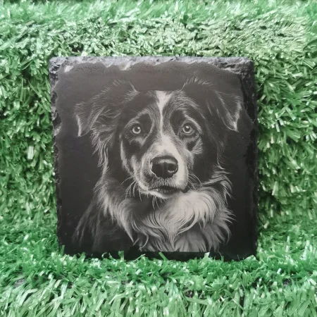 Border Collie Slate Coaster, Collie Dog Square 100mm