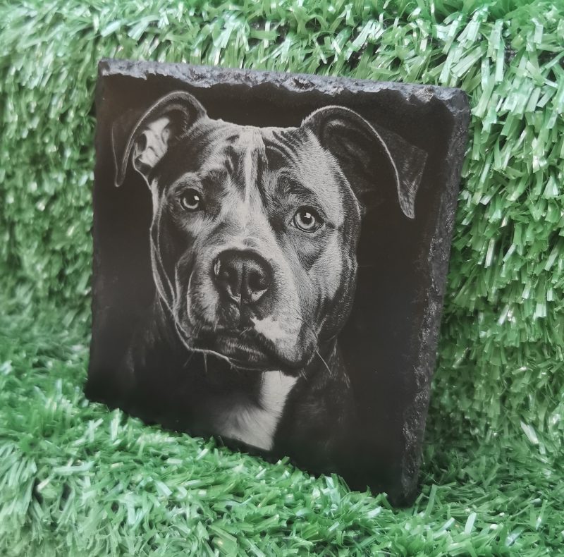 Staffordshire Bull Terrier Slate Coaster, Staffy, Square, 100mm