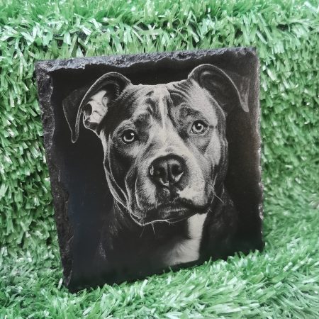 Staffordshire Bull Terrier Slate Coaster, Staffy, Square, 100mm