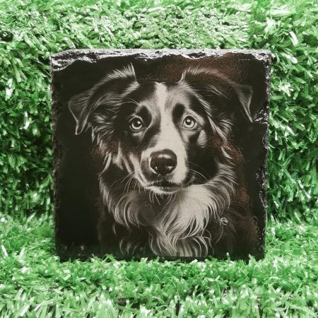 Border Collie Slate Coaster, Collie Dog, Square 100mm