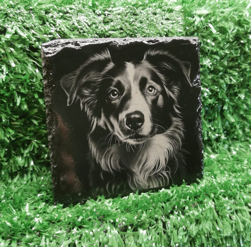 Border Collie Slate Coaster, Collie Dog, Square 100mm