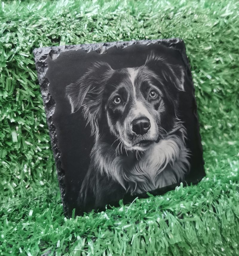 Border Collie Slate Coaster, Collie Dog Square 100mm