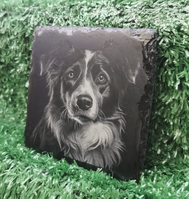 Border Collie Slate Coaster, Collie Dog Square 100mm