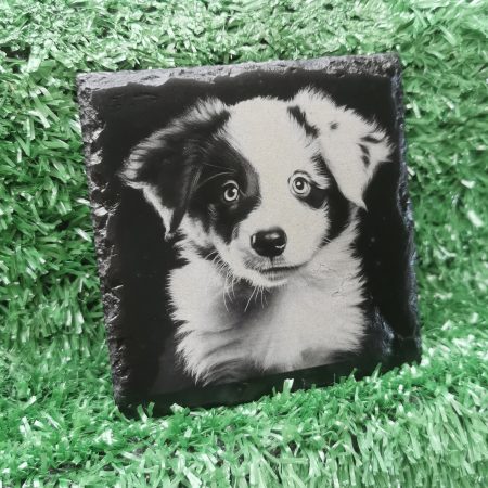 Border Collie Puppy Slate Coaster, Square 100mm