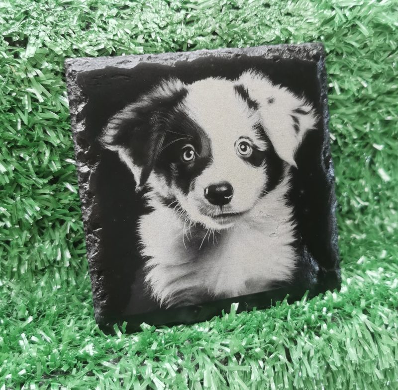 Border Collie Puppy Slate Coaster, Square 100mm