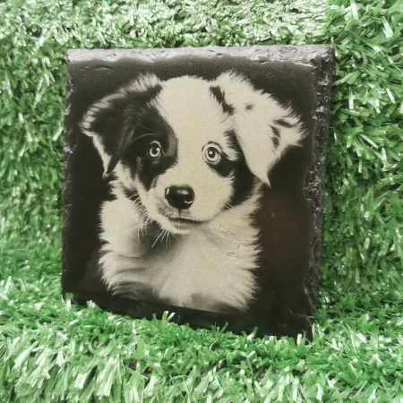 Border Collie Puppy Slate Coaster, Square 100mm