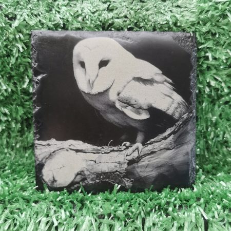 Beautiful Barn Owl Square Slate Coaster, Wildlife, Birds, 100mm