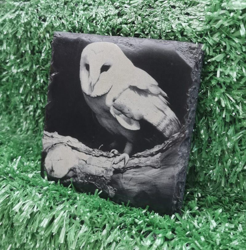 Beautiful Barn Owl Square Slate Coaster, Wildlife, Birds, 100mm