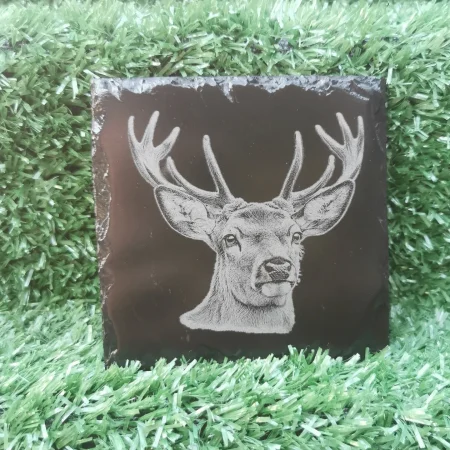 Wildlife Slate Coasters, Fox, Mouse, Hedgehog, Stag, Badger