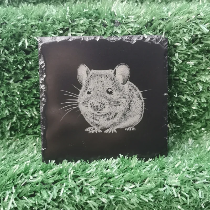 Wildlife Slate Coasters, Fox, Mouse, Hedgehog, Stag, Badger