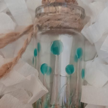 Message in a bottle - in gift box