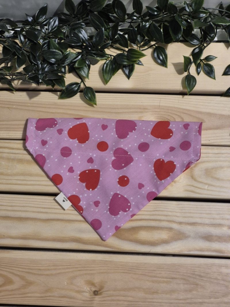 Hearts Over Collar Bandana | 4 Sizes Available