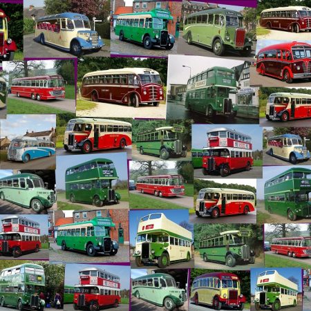Buses and Coaches: 1000 piece jigsaw