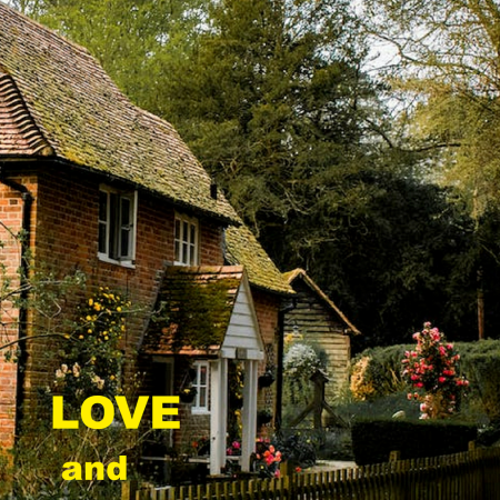 Love and Belonging: Adult book