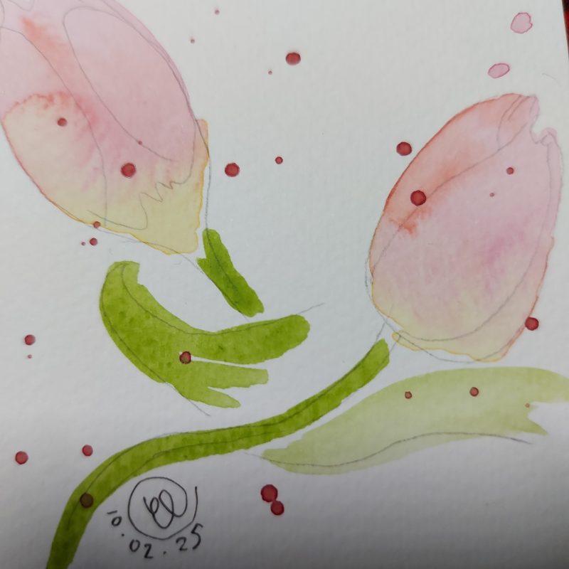 Tulip Collection, Postcard 2, mountable painting, 6x4in