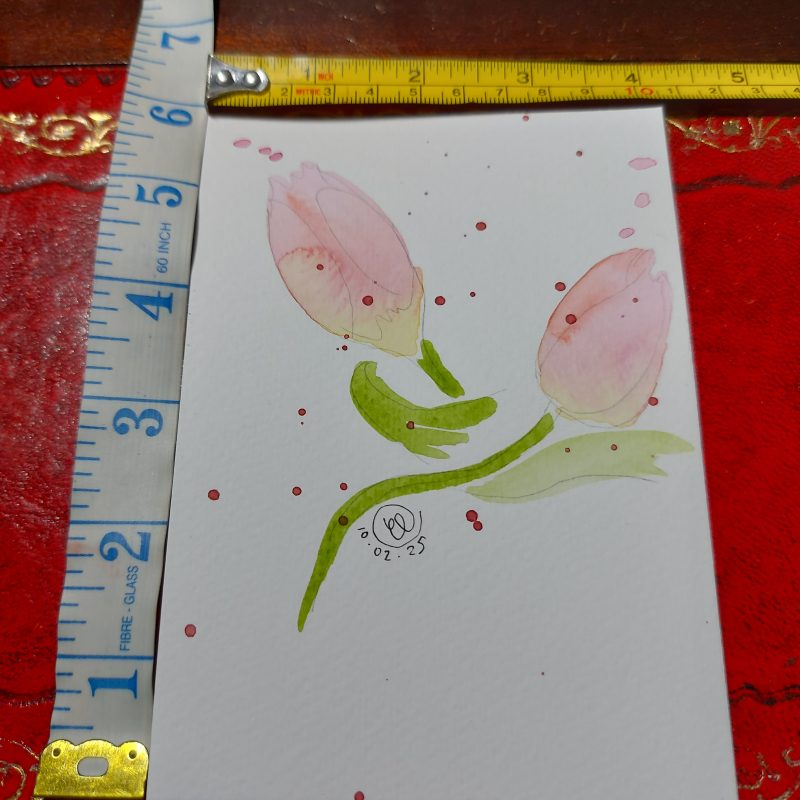 Tulip Collection, Postcard 2, mountable painting, 6x4in