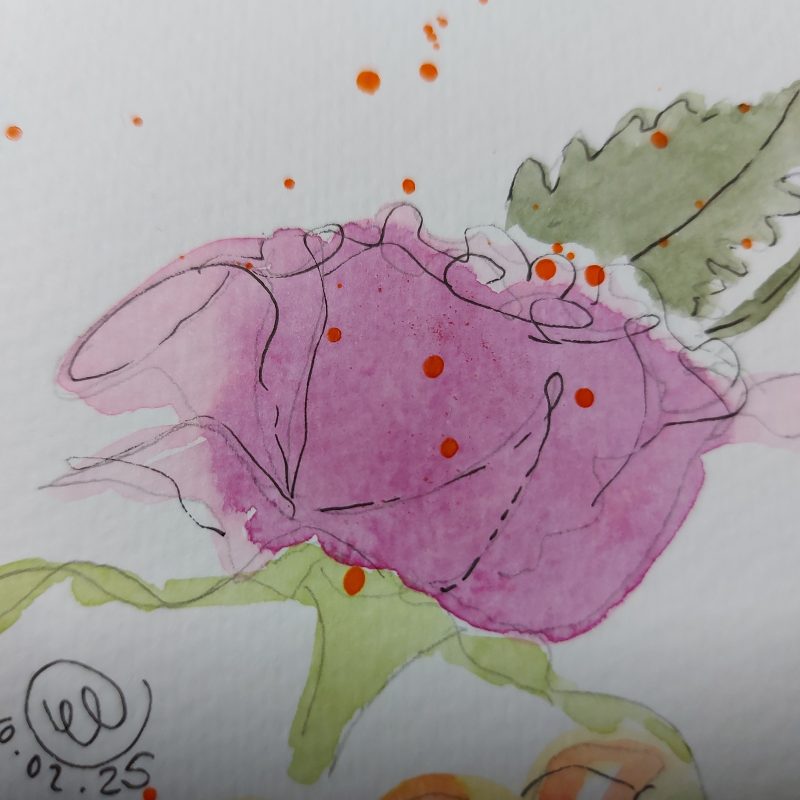Roses Collection, Postcard 3, mountable painting 6x4in