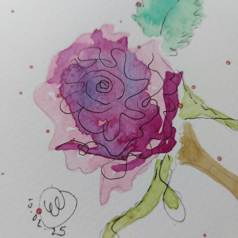Rose Collection, Postcard 4, mountable painting, 6x4in
