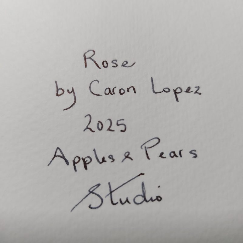 Rose Collection, Postcard 4, mountable painting, 6x4in