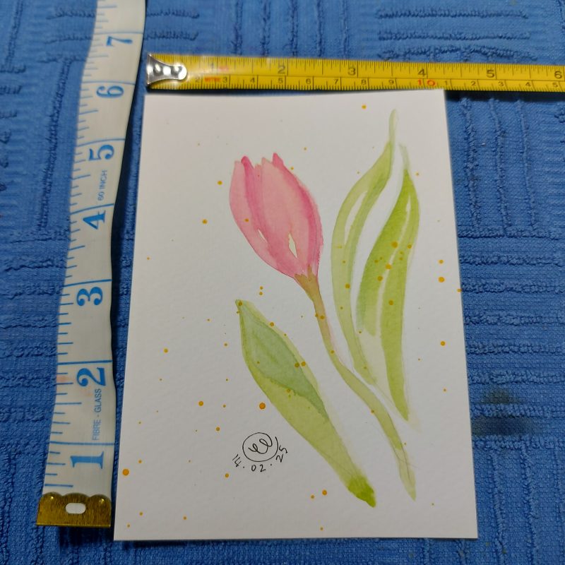 Tulip Delight, set of 4 postcards