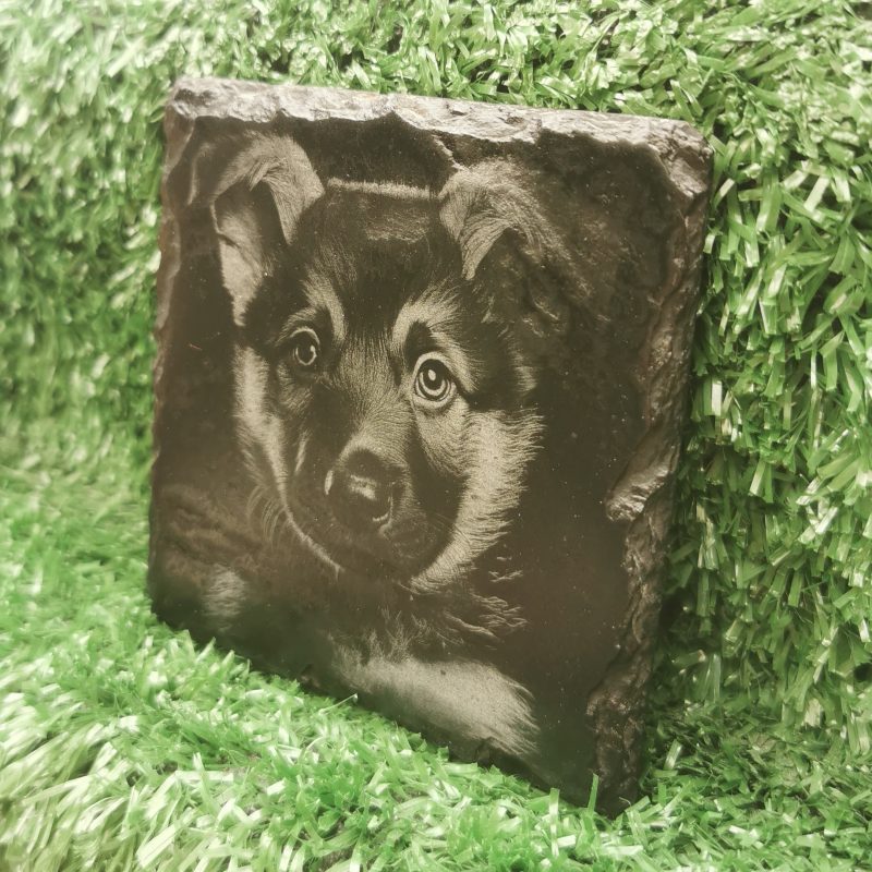 German Shepherd Puppy Slate Coaster, Laser Engraved, Dog Square 100mm