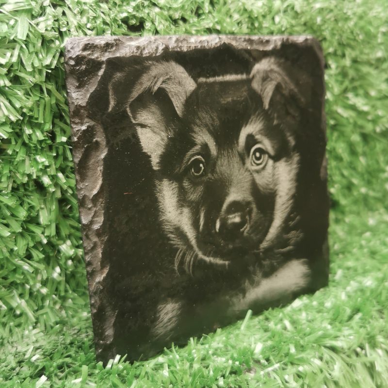 German Shepherd Puppy Slate Coaster, Laser Engraved, Dog Square 100mm