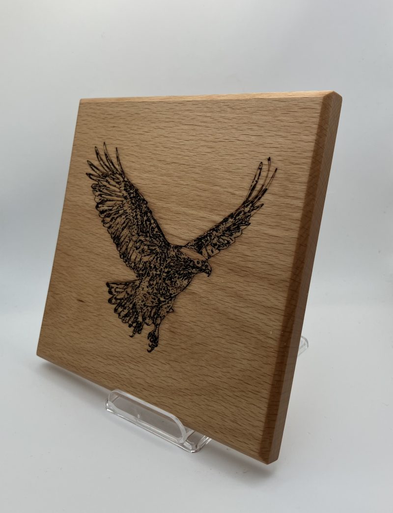 Hawk Engraved on Beech Wall Hanging