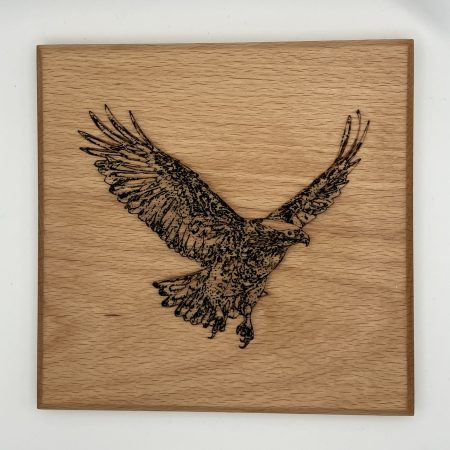 Hawk Engraved on Beech Wall Hanging