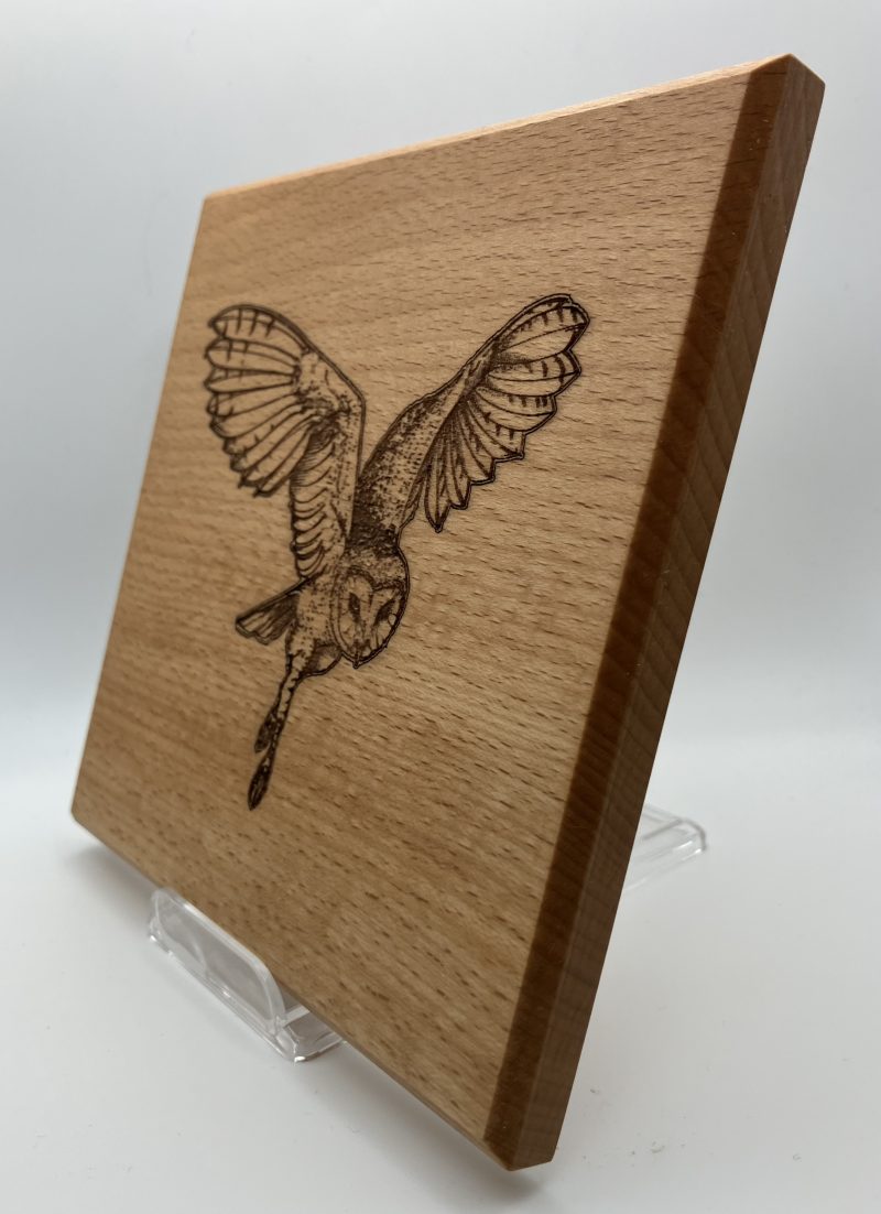 Barn Owl Engraved on Beech Wall Hanging