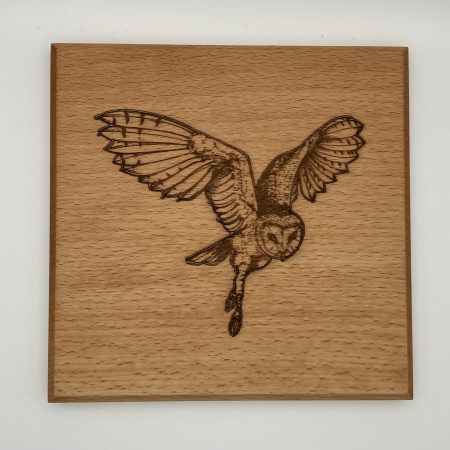 Barn Owl Engraved on Beech Wall Hanging