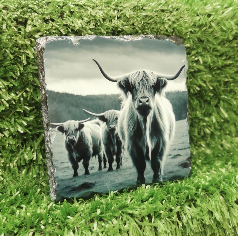 Highland Cow Coloured Slate Coaster, Sublimation, Gift Idea