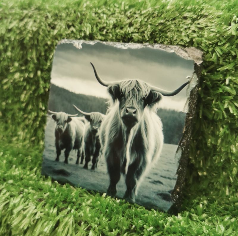 Highland Cow Coloured Slate Coaster, Sublimation, Gift Idea