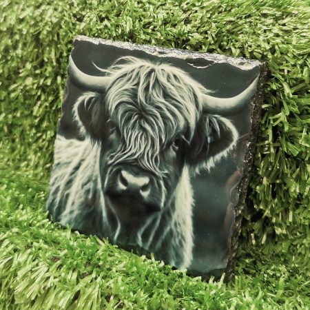 Highland Cow Coloured Slate Coaster, Sublimation, Gift Idea