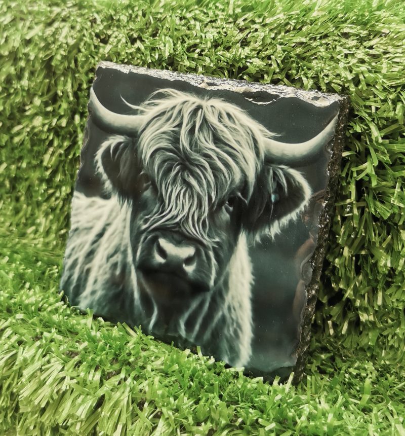 Highland Cow Coloured Slate Coaster, Sublimation, Gift Idea