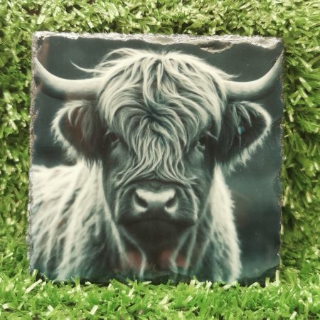 Highland Cow Coloured Slate Coaster, Sublimation, Gift Idea