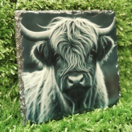 Highland Cow Coloured Slate Coaster, Sublimation, Gift Idea