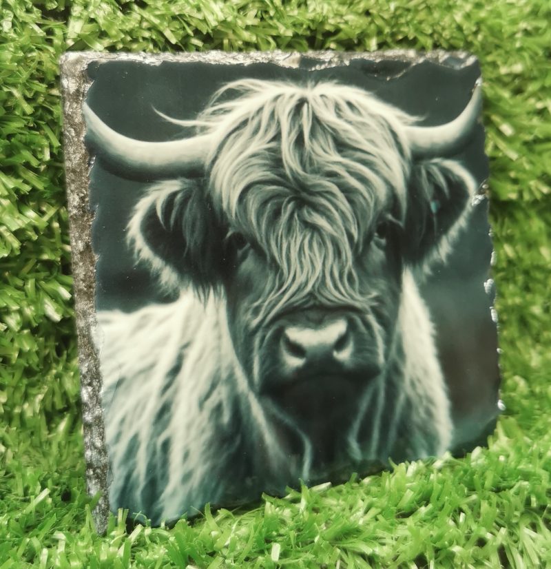 Highland Cow Coloured Slate Coaster, Sublimation, Gift Idea