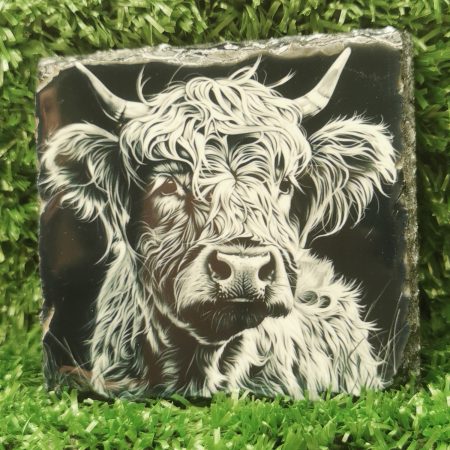 Highland Cow Coloured Slate Coaster, Sublimation, Gift Idea