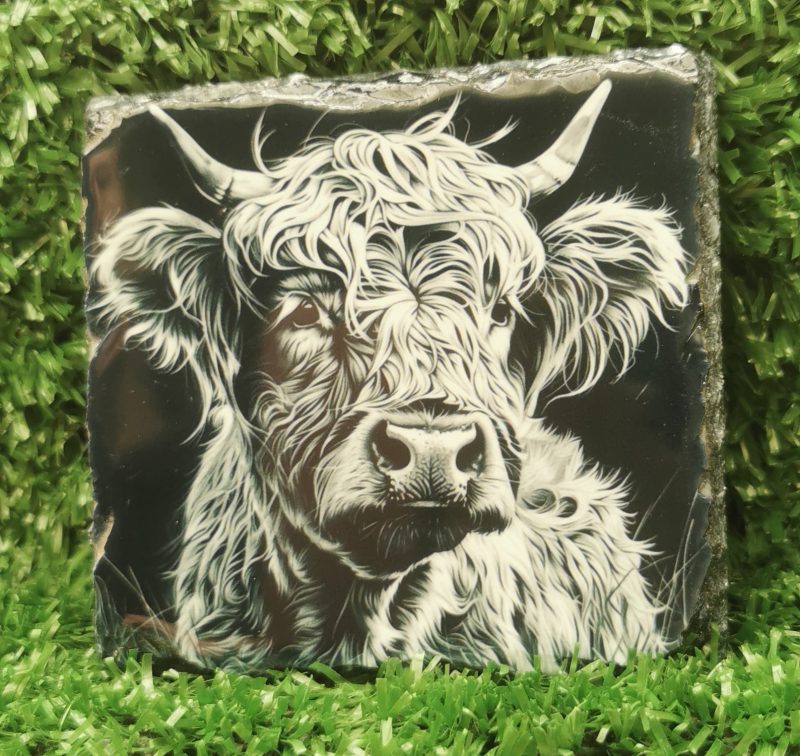 Highland Cow Coloured Slate Coaster, Sublimation, Gift Idea