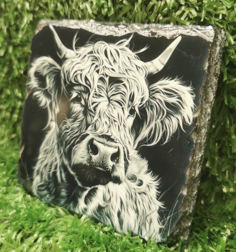 Highland Cow Coloured Slate Coaster, Sublimation, Gift Idea