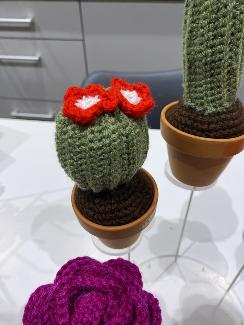 Handmade Crochet Cacti in Pots, Crochet Gifts, Crochet Cactus, Crochet Succulents